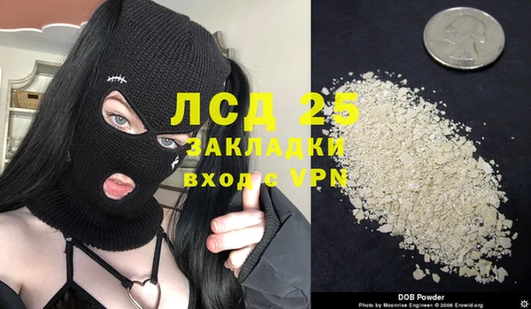 МДПВ Пересвет