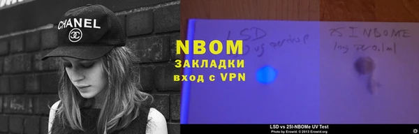 МДПВ Пересвет