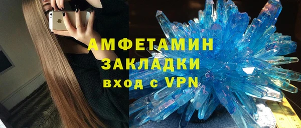 МДПВ Пересвет