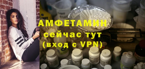 МДПВ Пересвет