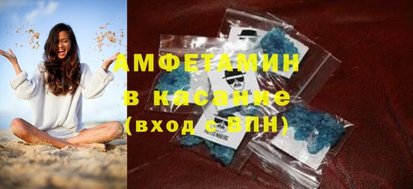 МДПВ Пересвет