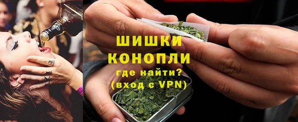 МДПВ Пересвет