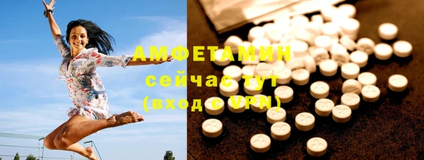 МДПВ Пересвет