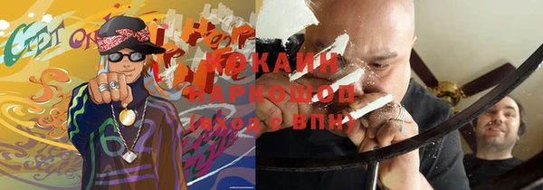 МДПВ Пересвет