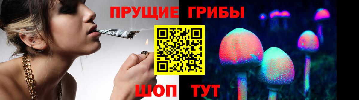 Галлюциногенные грибы Magic Shrooms  Вход с VPN  Рославль 